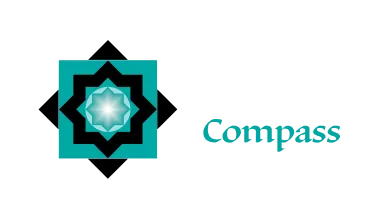 Wisecompass logo
